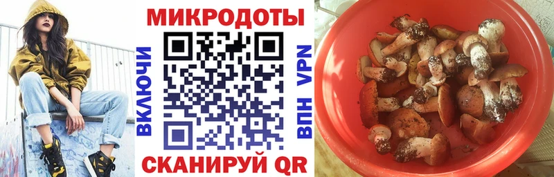 Галлюциногенные грибы Psilocybine cubensis  Макарьев 